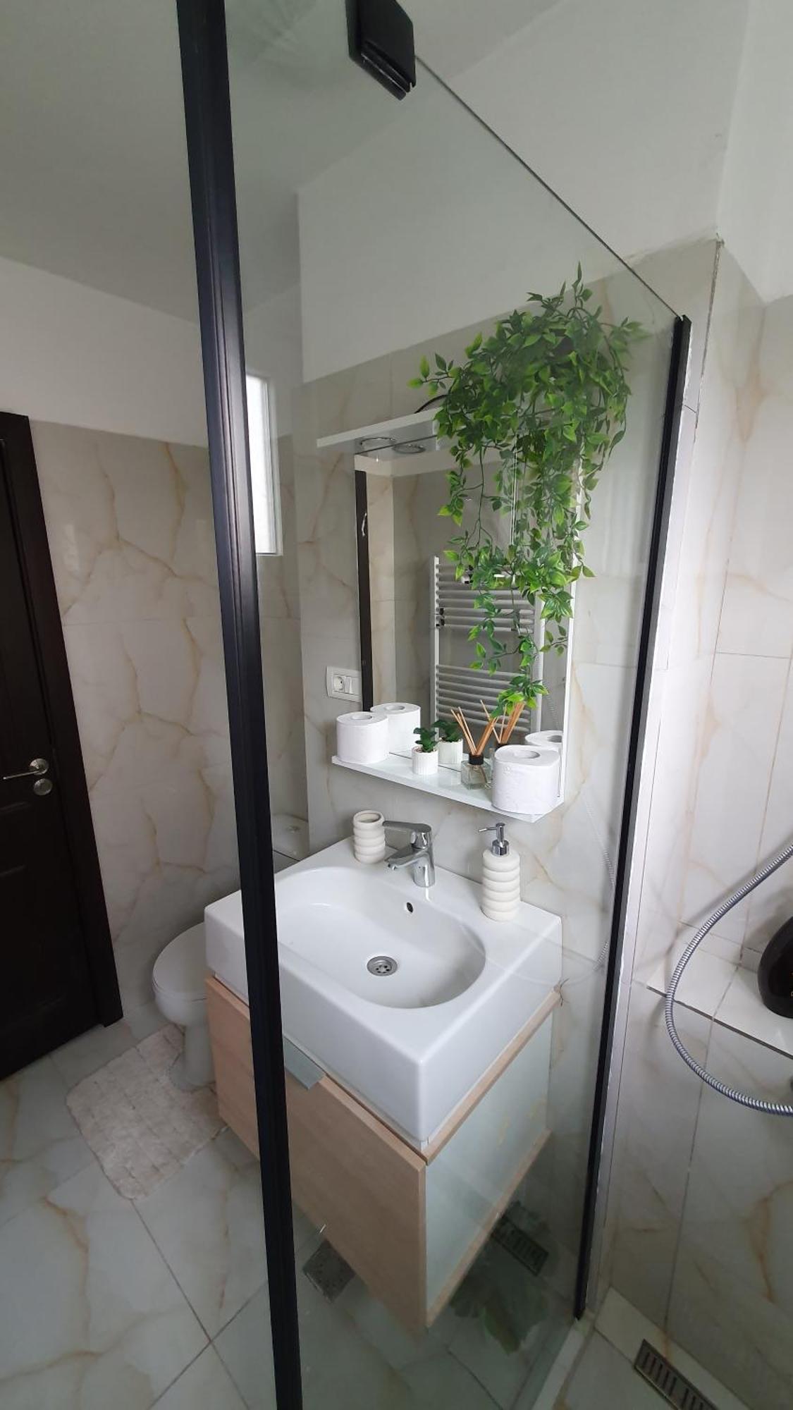 Andrei Apartment Braszów Zewnętrze zdjęcie