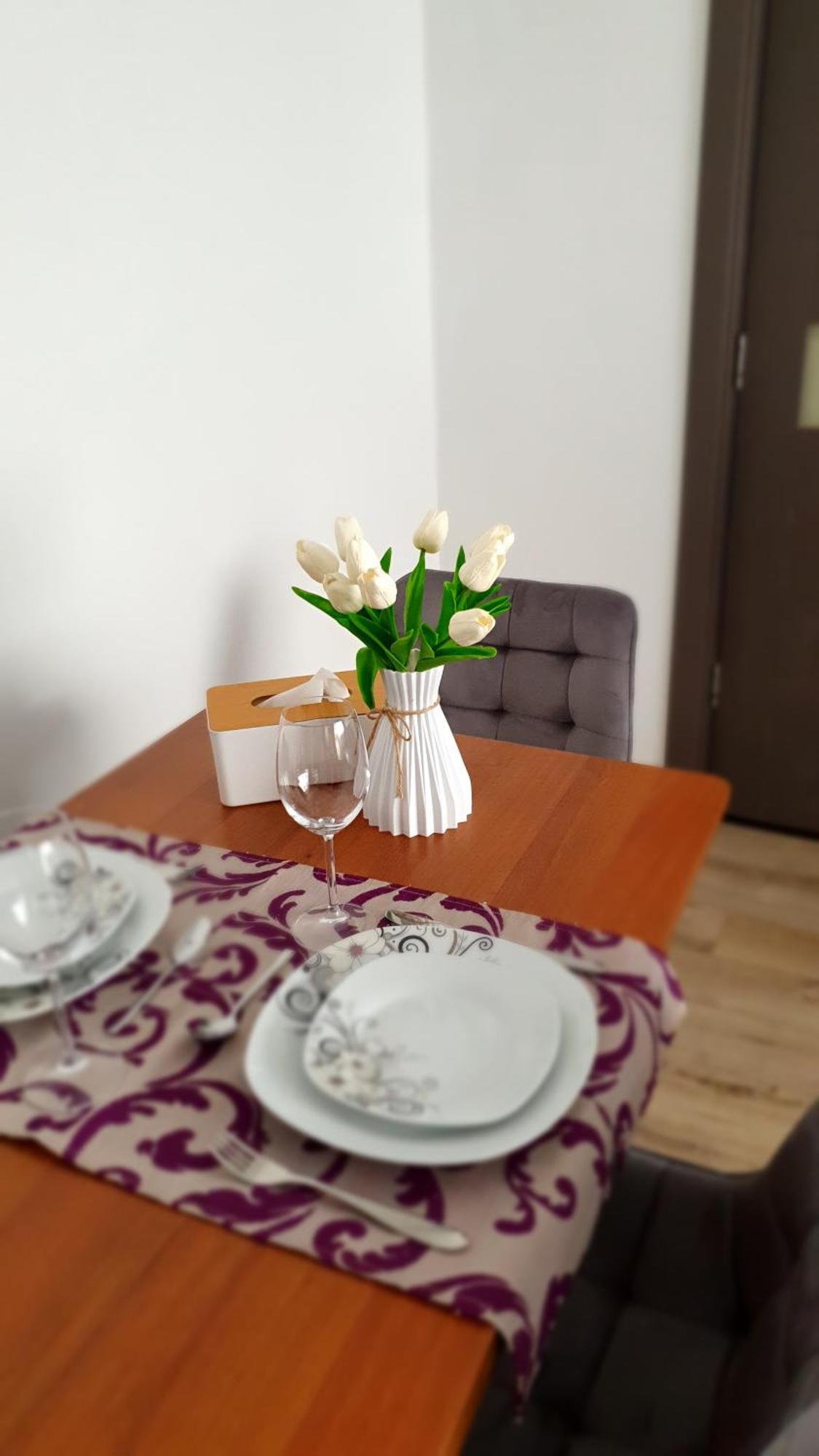 Andrei Apartment Braszów Zewnętrze zdjęcie